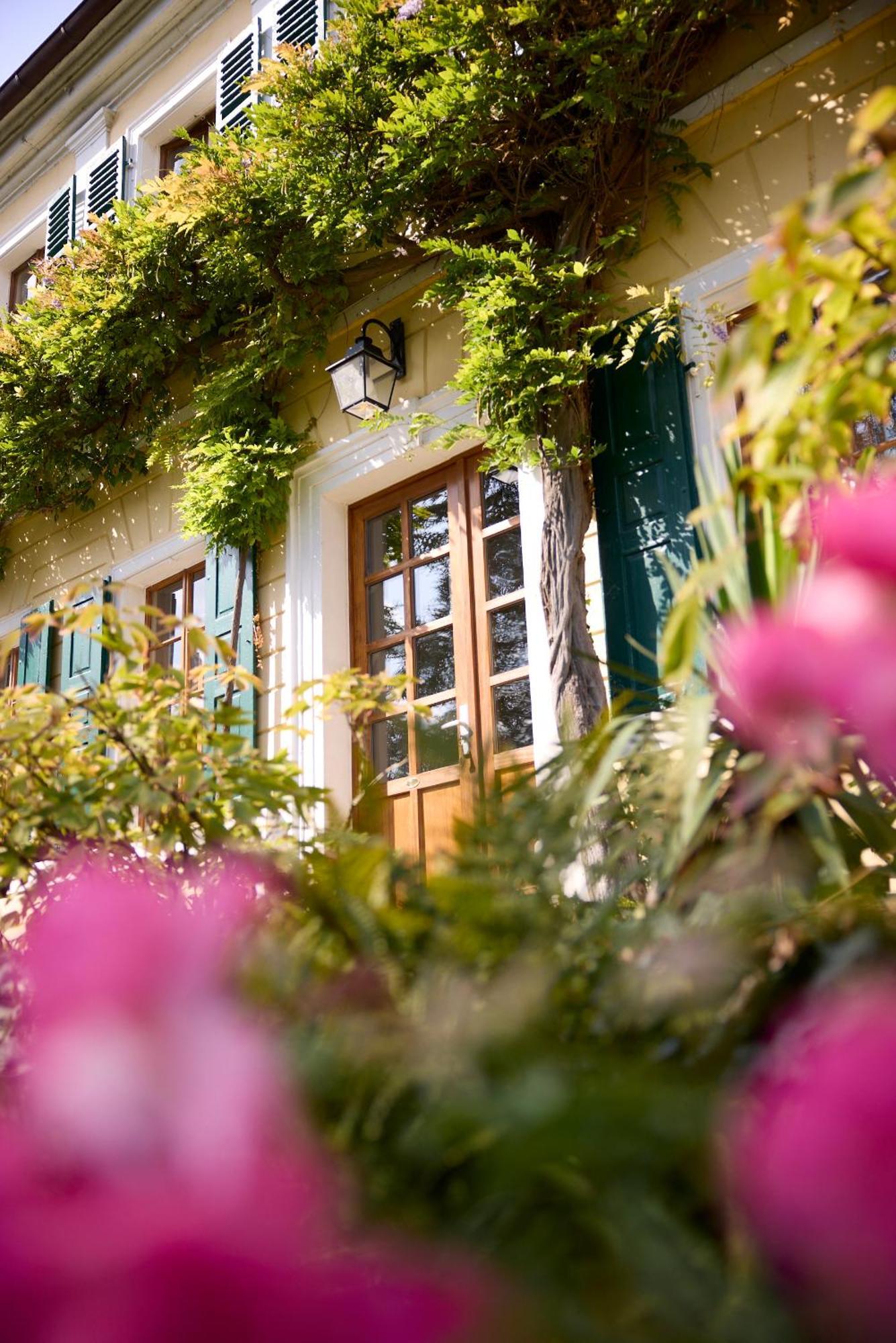 Unterkunft Im Weingut Fitz-Ritter Bad Dürkheim Quarto foto